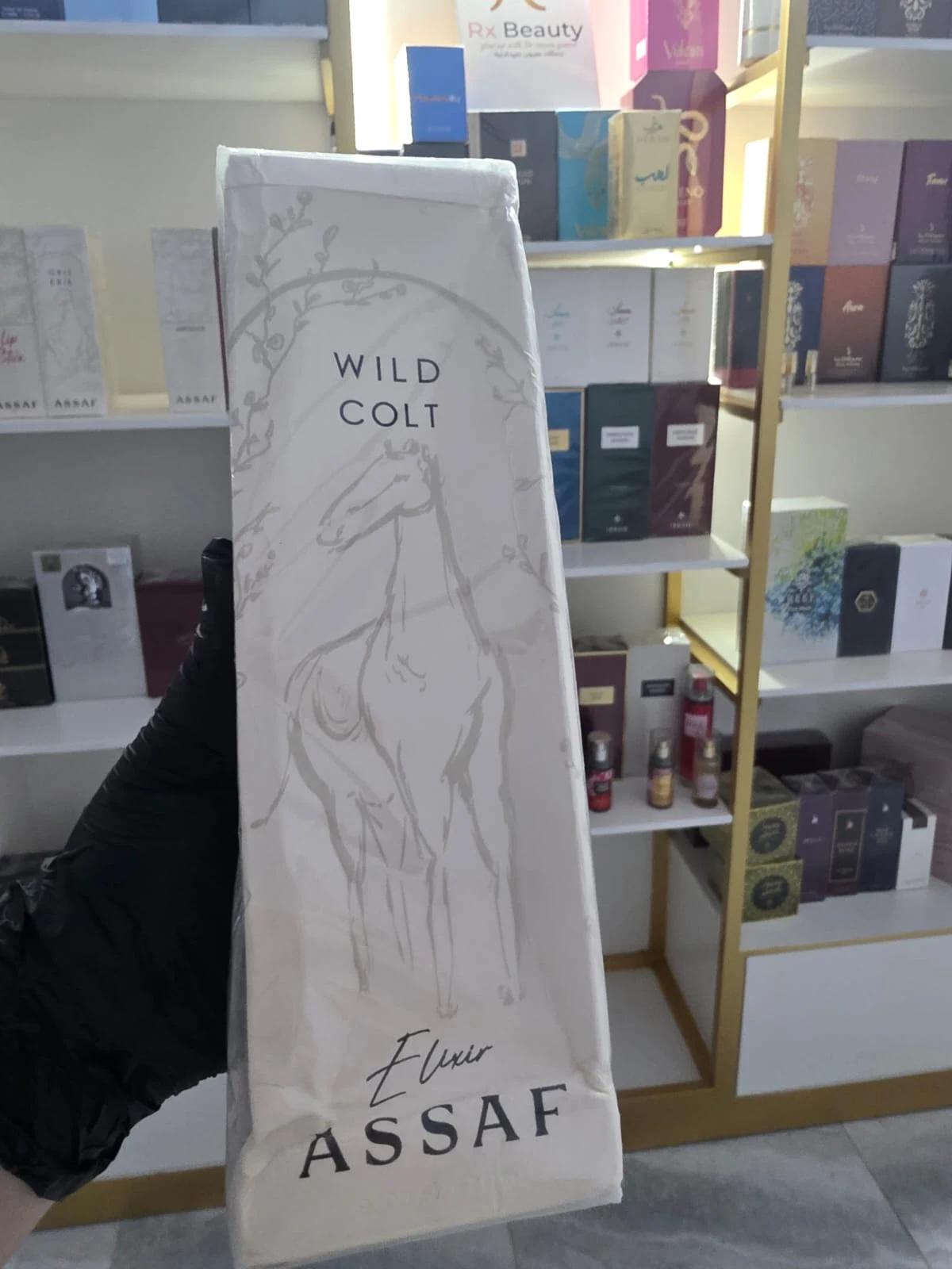 WILD COLT - View 1