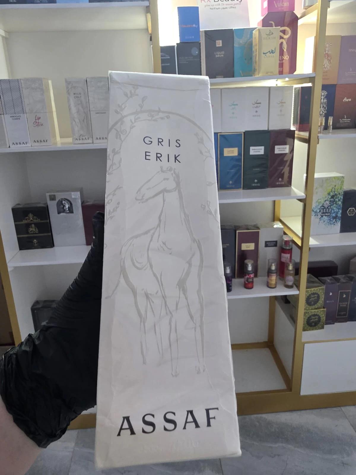 GRIS ERIK - View 1
