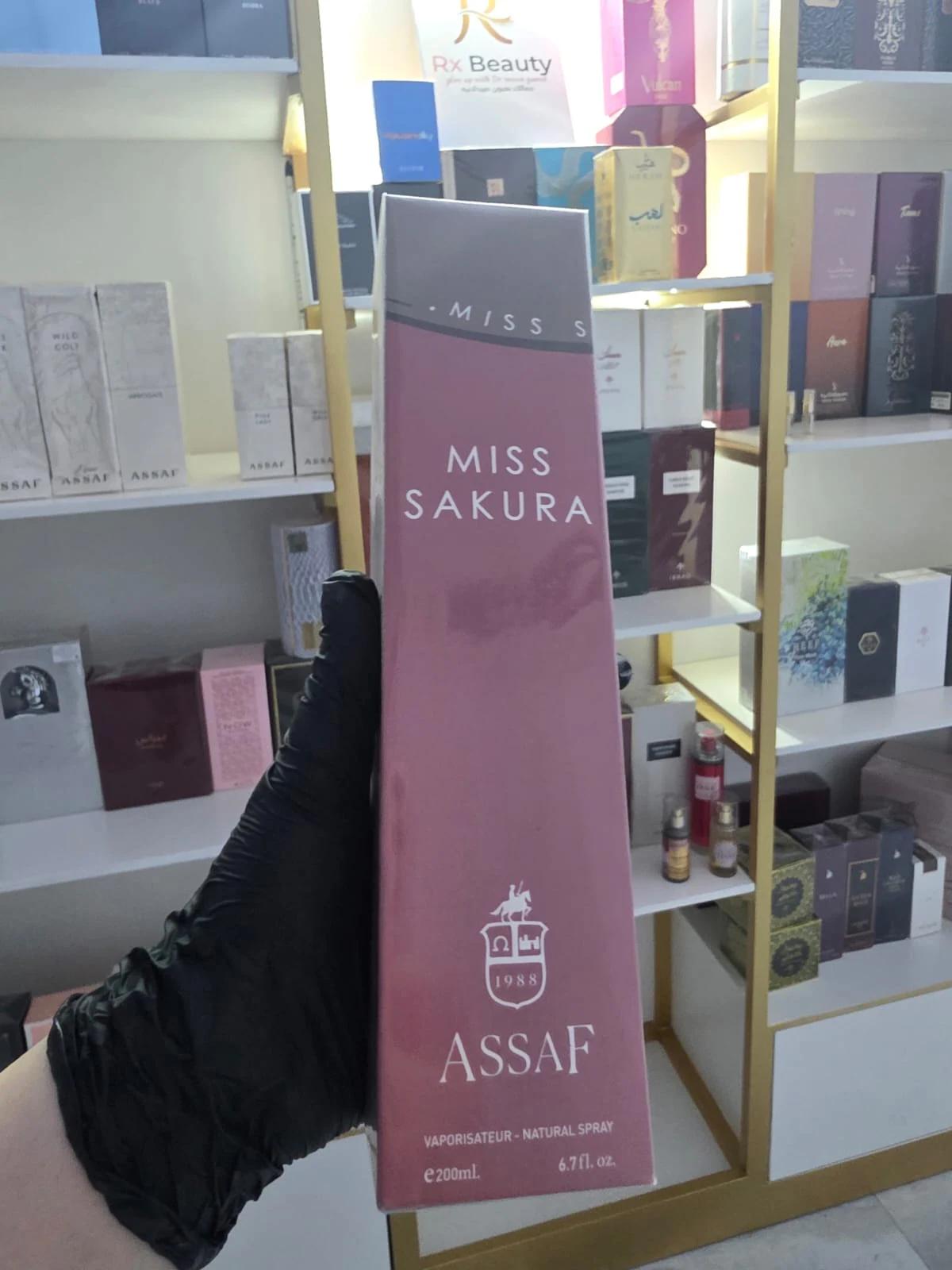 MISS SAKURA - View 1